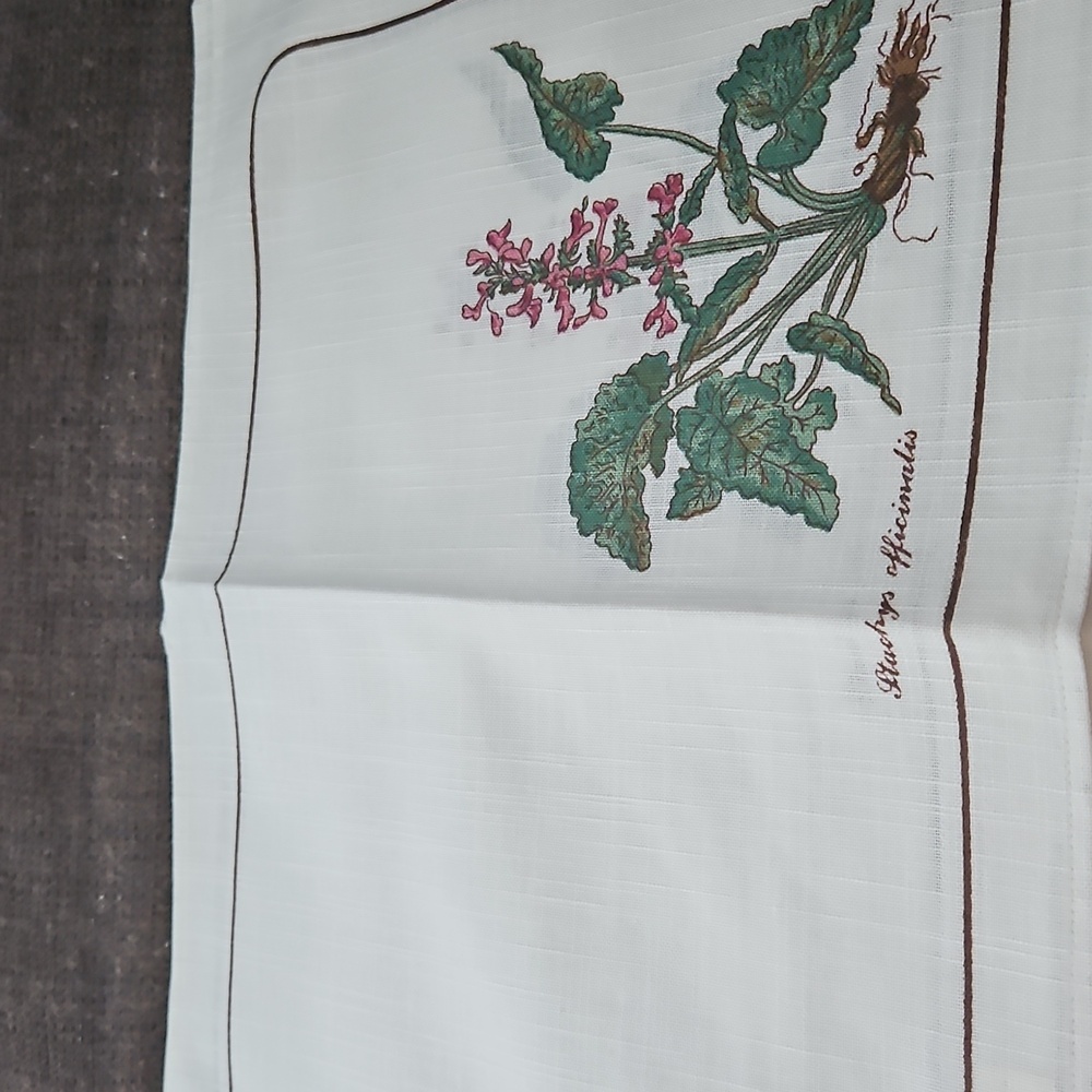 Villeroy & Boch Stachys Officinalis White Placemats Set Of 4